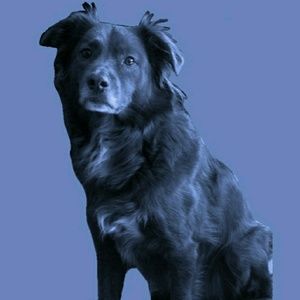 Meet your Posher, Desiree